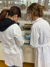 WhatsApp Image 2024-02-14 at 23.48.30 (3)