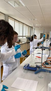 WhatsApp Image 2024-02-14 at 23.48.30 (4)